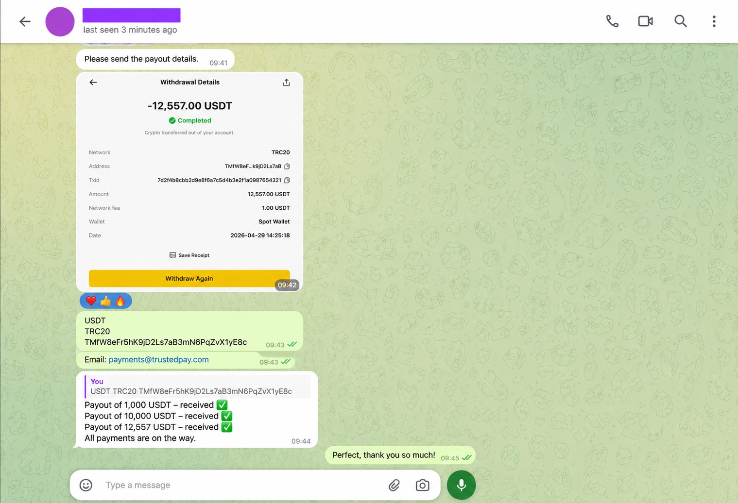 Merchant payment confirmation screenshot 9